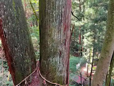 荒神社(岐阜県)