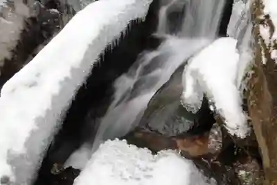 大滝不動尊の自然