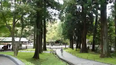 中尊寺金色堂(岩手県)