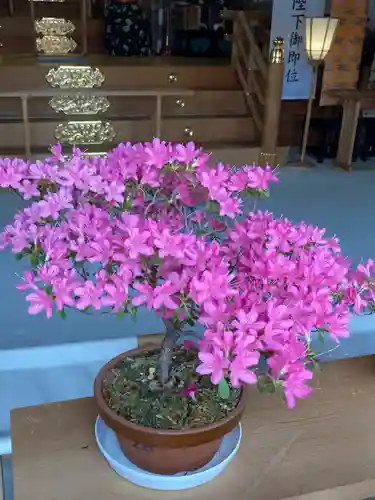 新川皇大神社の自然