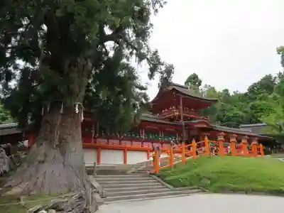 春日大社(奈良県)