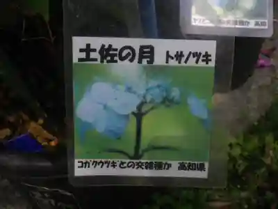 光則寺のその他建物