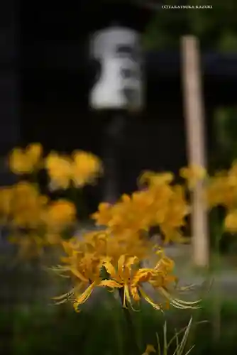 横浜　西方寺(神奈川県)