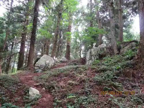 鹿島大神宮の自然