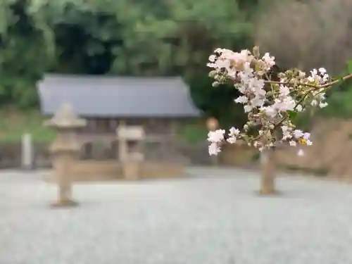 佐太神社の自然