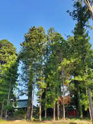 神炊館神社 ⁂奥州須賀川総鎮守⁂(福島県)