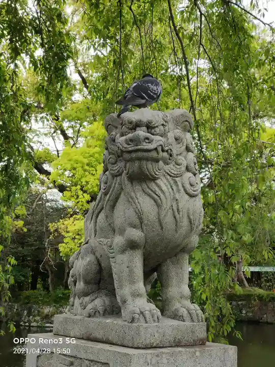 三嶋大社の狛犬