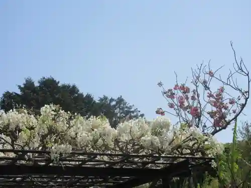 極楽寺（霊鷲山感應院極楽律寺）の景色