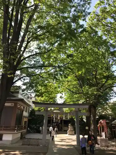 大鳥神社の自然