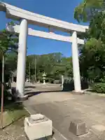 福井神社の鳥居