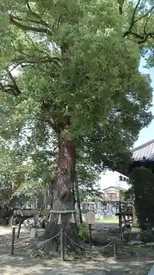 龍泉寺（足利厄除大師）(栃木県)