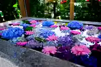 桜神宮(東京都)