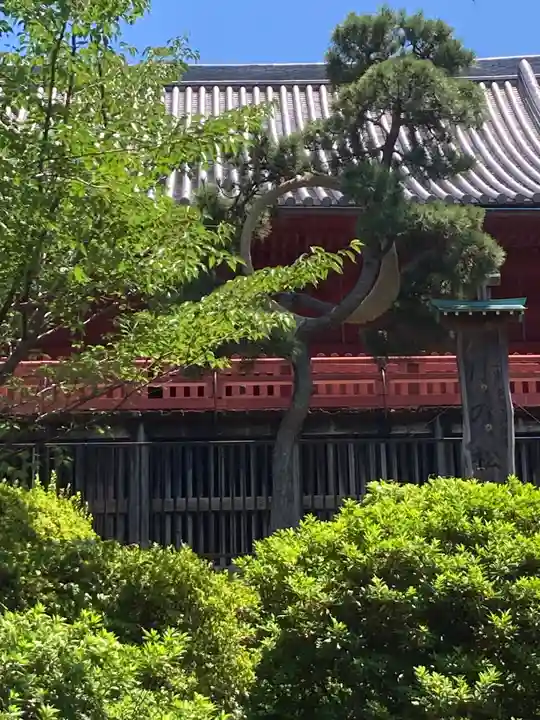 清水観音堂(東京都)