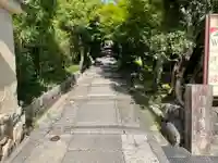 高台寺(高台寿聖禅寺・高臺寺)(京都府)