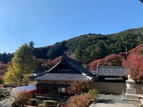 普門寺(切り絵御朱印発祥の寺)の景色