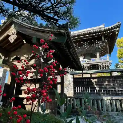 題経寺(柴又帝釈天)のその他建物