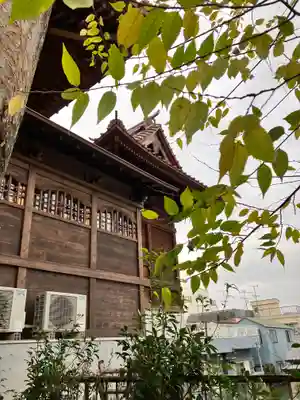 戸越八幡神社(東京都)