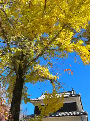 眞田神社(長野県)