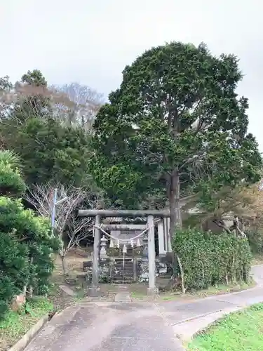 白幡神社の鳥居