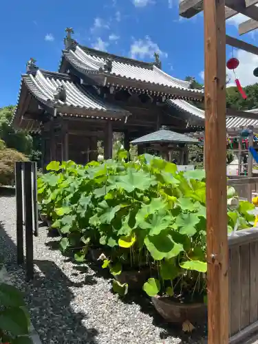 秋葉總本殿可睡斎(静岡県)