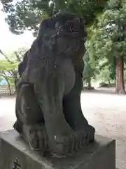 白和瀬神社の狛犬