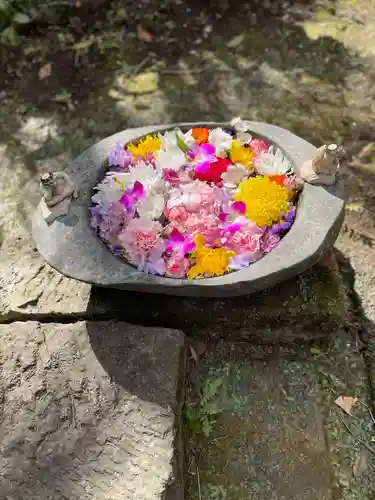かっぱの寺 栖足寺(静岡県)