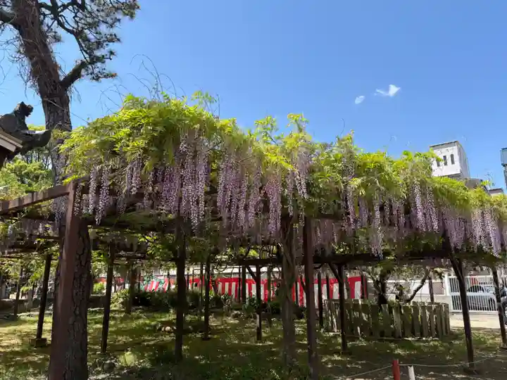 葛井寺(大阪府)