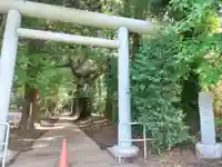 縣神社(千葉県)