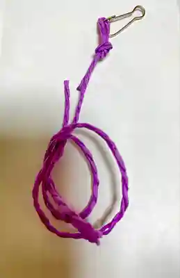 八幡宮(茨城県)