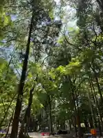 小御門神社(千葉県)