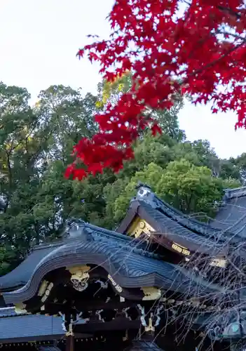 今宮神社の本殿・本堂