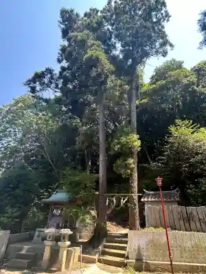 伊豫稲荷神社(愛媛県)