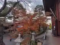 養玉院如来寺(東京都)