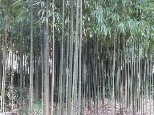 浄智寺(神奈川県)