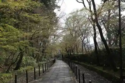 光明寺（粟生光明寺）(京都府)