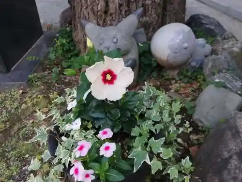 居木神社の自然