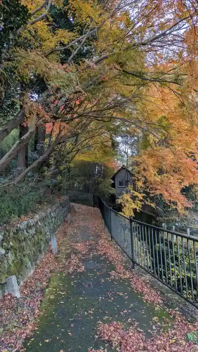 服部神社(京都府)