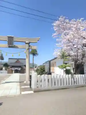 總社 和田八幡宮(福井県)