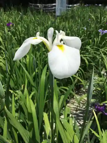 宮地嶽神社の自然