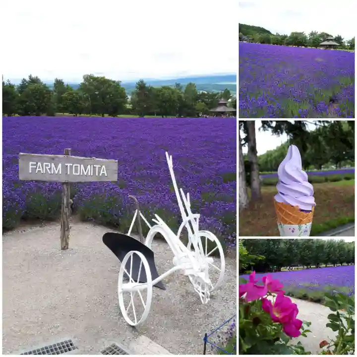 中富良野神社(北海道)