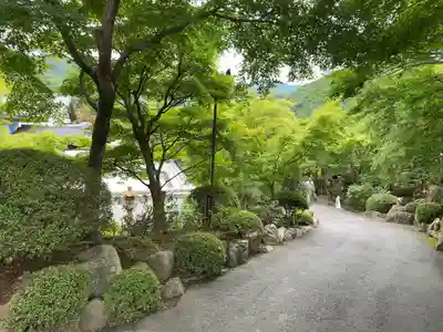 宝徳寺(群馬県)