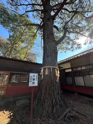 前原御嶽神社(千葉県)