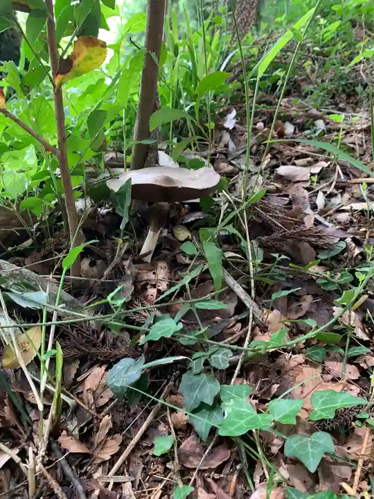 八幡神社(岩窪切岸城址)(福島県)