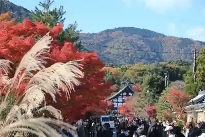 天龍寺のその他建物