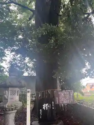 杉生神社(岐阜県)