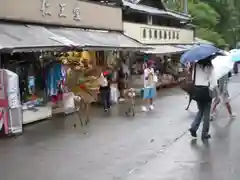 東大寺の周辺