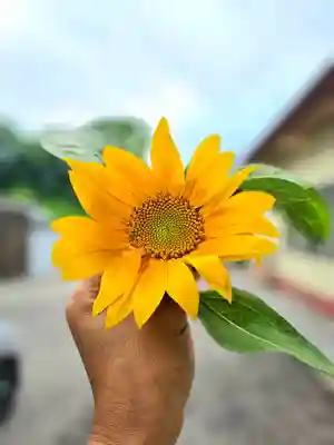 美幌神社(北海道)