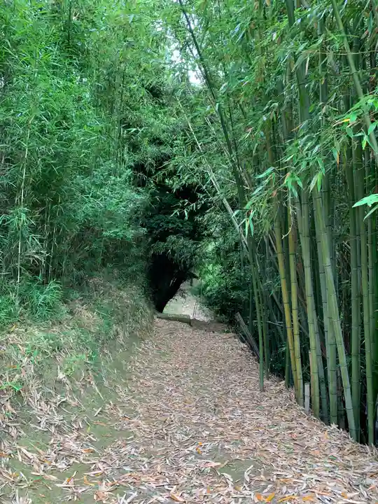駒形神社の周辺