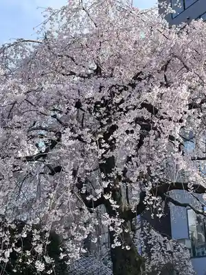 日蓮宗　浄運寺(東京都)