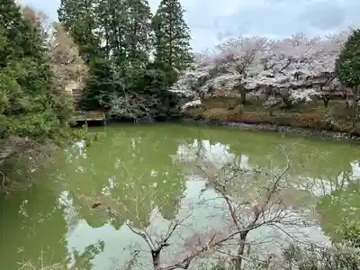 高鴨神社(奈良県)